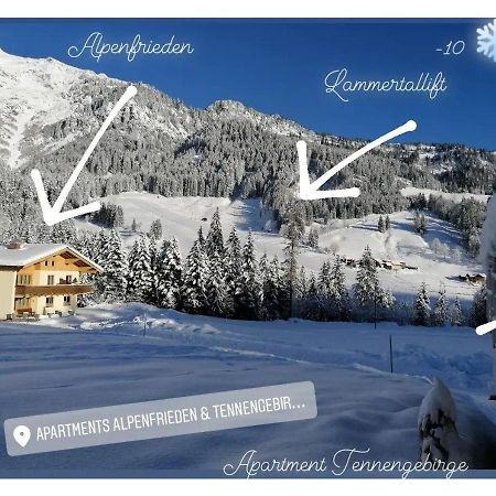 Apartment Tennengebirge Sankt Martin am Tennengebirge Eksteriør bilde