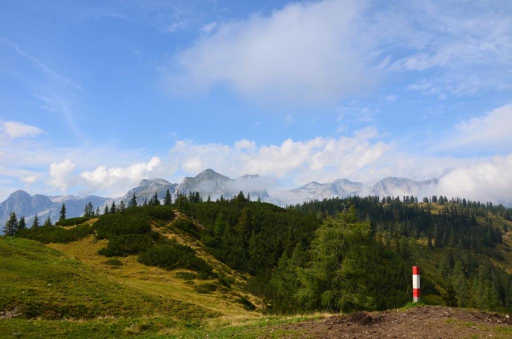 Apartment Tennengebirge Sankt Martin am Tennengebirge Eksteriør bilde